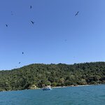 Photo taken by Joanne C