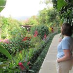 Photo taken by John N