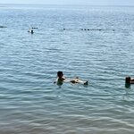 Photo taken by Joaquim S