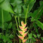 Photo taken by Susan D