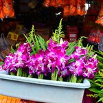 Photo taken by sarah p