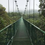 Photo taken by Khaled S