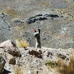 Photo taken by Nicolette S