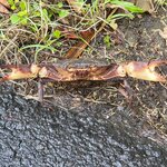 Photo taken by Darla D