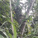 Photo taken by Claudia S