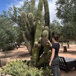 Photo taken by Manon G