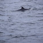 Photo taken by Yumi A