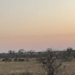 Photo taken by Joanne B