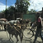 Ethiopia | Photo taken by Jonny P