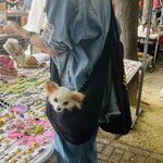 Photo taken by Janice W