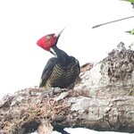 Photo taken by Joyce C