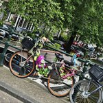 Photo taken by Kristie B