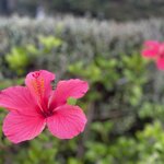 Photo taken by John L