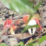 Photo taken by Mark S