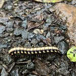 Photo taken by Patrice G