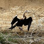 Photo taken by Michael L