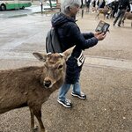 Photo taken by Kirti P