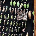 Photo taken by Victoria C