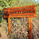 Photo taken by Debby D