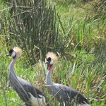 Photo taken by Kristin M