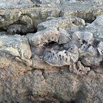 Photo taken by Cyd T