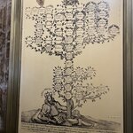 Photo taken by Bailey R