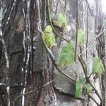 Photo taken by Claudia S