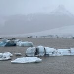 Photo taken by Tom B