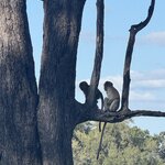 Photo taken by Chris K