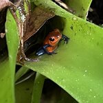 Photo taken by Patrice G