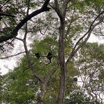 Photo taken by Keyla A