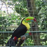 Photo taken by Pat K