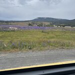 Photo taken by Rob G