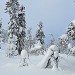 Photo taken by Daniel R