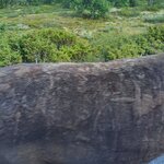 Photo taken by sybil p