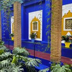 Photo taken by Lindsey B