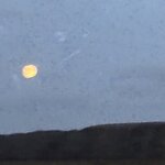 Photo taken by Julie M