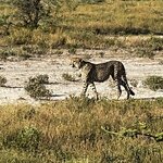 Photo taken by Peter L