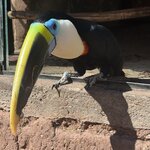 Photo taken by Lindsey B