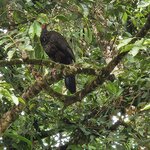 Photo taken by Esther B