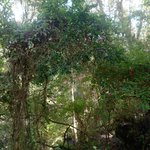 Photo taken by Beth S