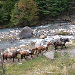 Photo taken by Dave E