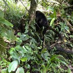 Photo taken by Les A