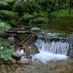 Photo taken by Sanja N