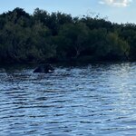 Photo taken by Michael Z