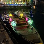 Photo taken by Jacqui O