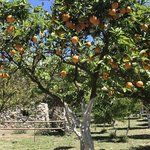 Photo taken by Victoria P