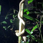 Photo taken by Sangeetha R