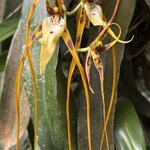 Photo taken by Ora Y