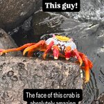 Photo taken by Ben S